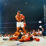Muhammad Ali Stunning Signed Over-Sized 20" x 20" Over Liston Photo (JSA)