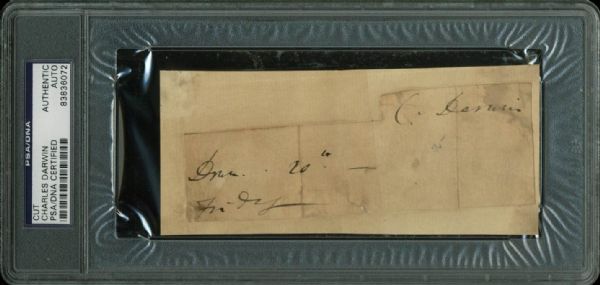 Charles Darwin RARE 2.5" x 6" Autograph Cut (PSA/DNA Encapsulated)