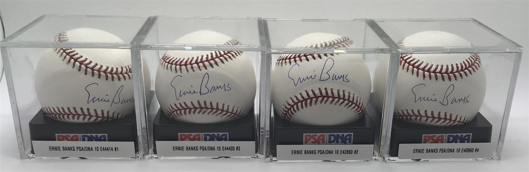 Lot of Four (4) Ernie Banks Signed OML Baseballs PSA/DNA Graded GEM MINT 10!