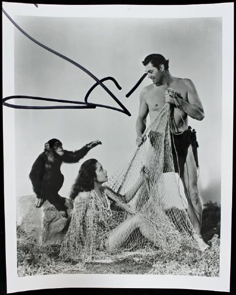 Tarzan: Cheetah The Chimp Rare Signed 8" x 10" B&W Photo