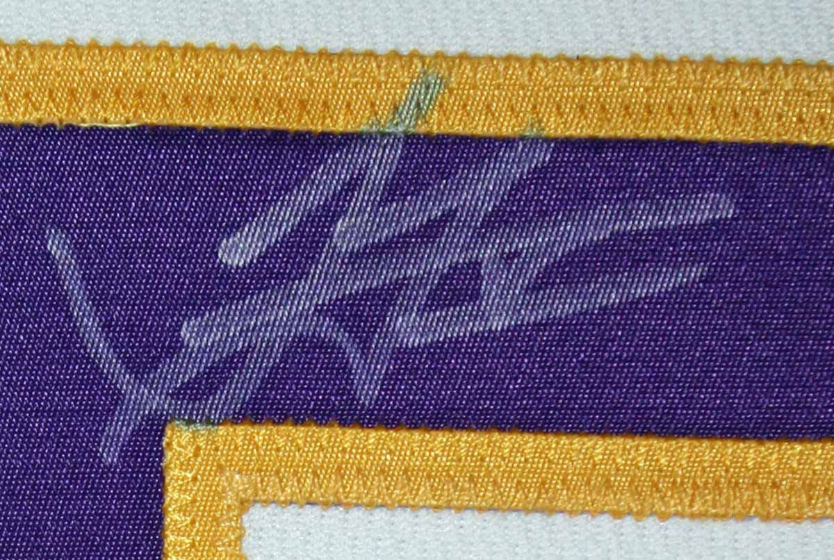 Jordan Farmar Signed Autograph Jersey Custom Framed Los Angeles Lakers  PSA/DNA at 's Sports Collectibles Store