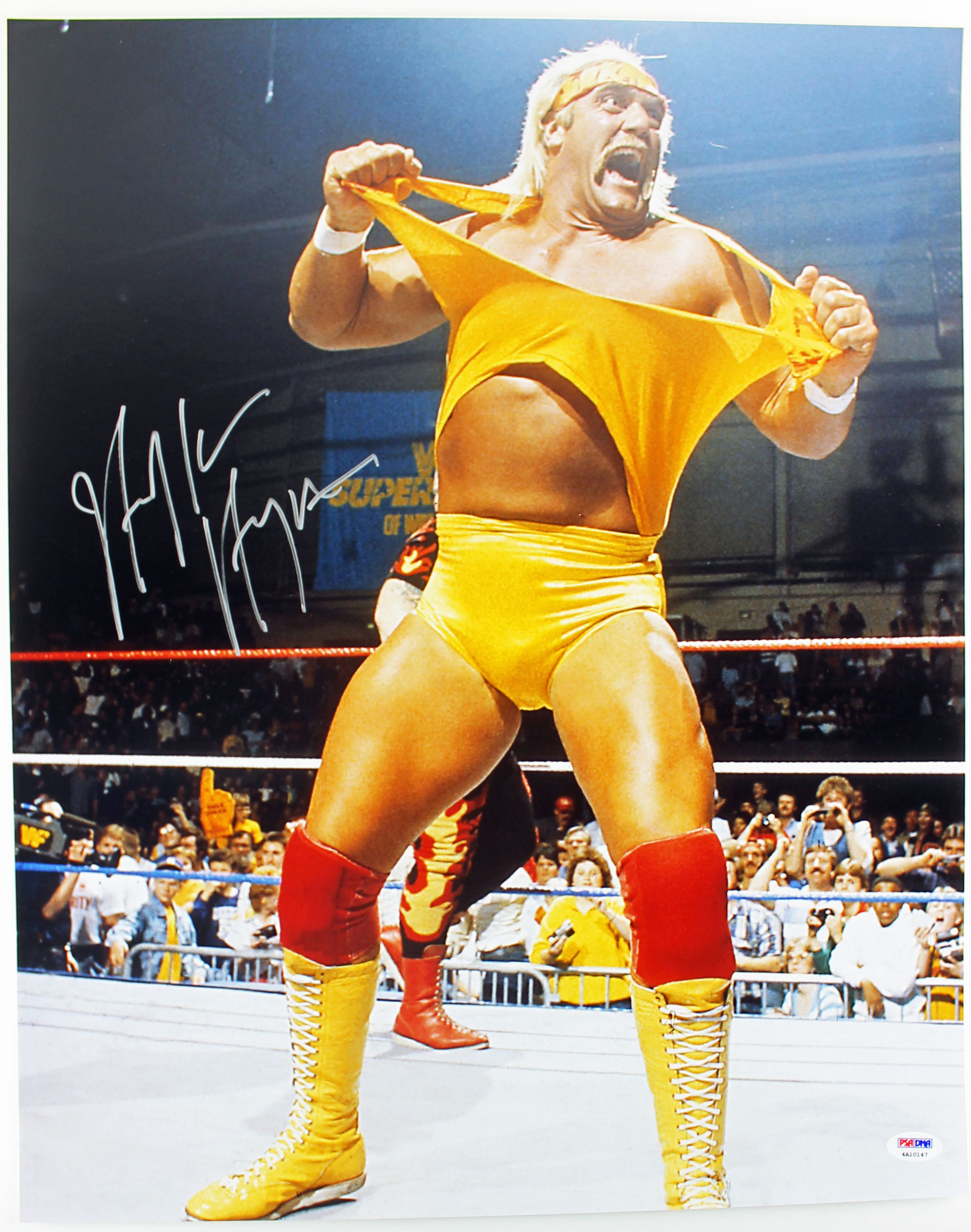 Lot Detail - Hulk Hogan Signed 16