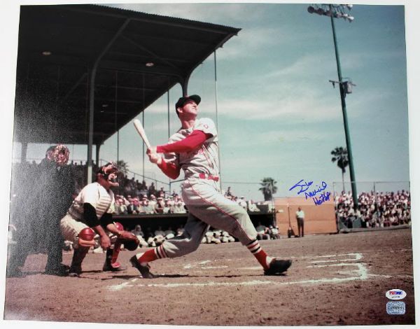 Stan Musial "HOF 69" Signed 16" x 20" Action Color Photo (PSA/DNA)
