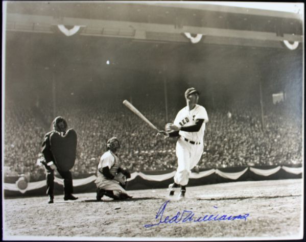 Ted Williams Beautifil Signed 11" x 14" B&W Brearley Collection Photograph (PSA/DNA)