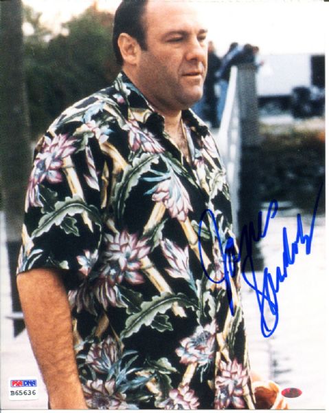 Sopranos: James Gandolfini Signed 8" x 10" Photo (PSA/DNA)