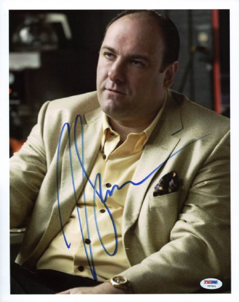 The Sopranos: James Gandolfini Signed 11" x 14" Color Photo (PSA/DNA)