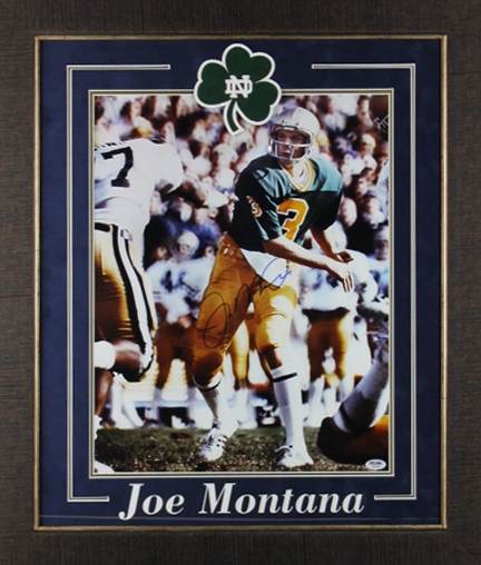 Joe Montana Signed 16" x 20" Photo in Custom Notre Dame  Framed Display