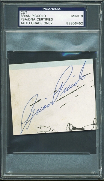 Lot Detail - Brian Piccolo Signed 2