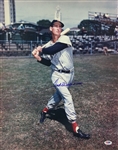 Ted Williams Signed 16 x 20 Color Boston Red Sox Photograph (PSA/DNA)