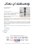 The Foo Fighters Group Signed Echoes, Silence, Patience & Grace Record Album (4 Sigs)(PSA/DNA)