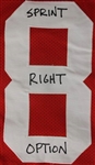 Dwight Clark Unique Signed Sprint Right Option Jersey w/ Embroidered The Catch Play! (PSA/DNA) 