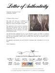 Sheryl Crowe Signed Album Flat (PSA/DNA)
