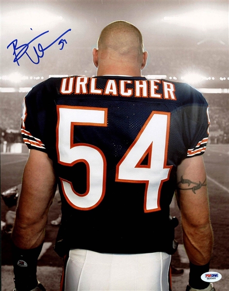 Bears: Brian Urlacher Signed 11" x 14" Photo (PSA/DNA)