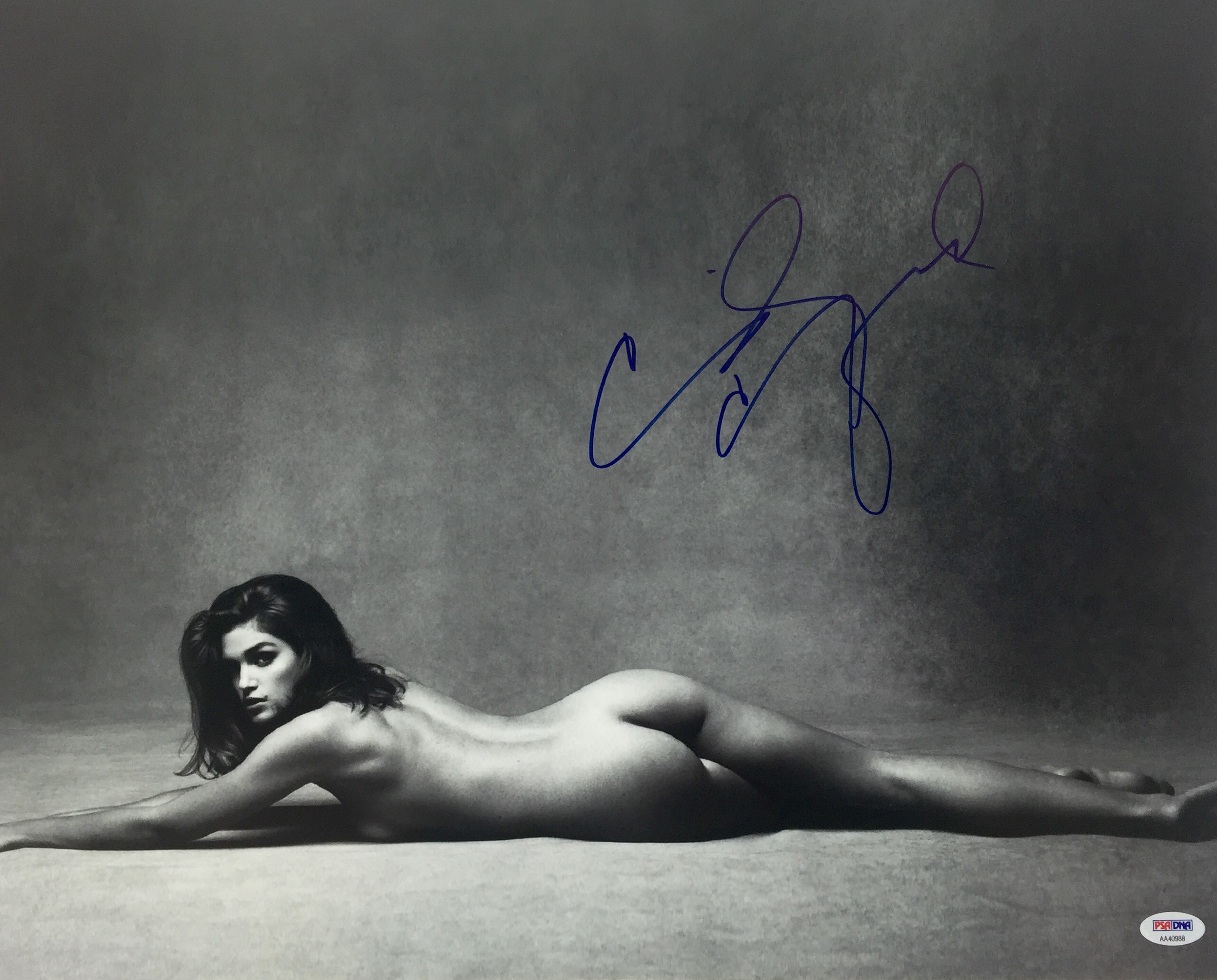 Lot Detail - Spectacular Cindy Crawford In-Person Signed 16