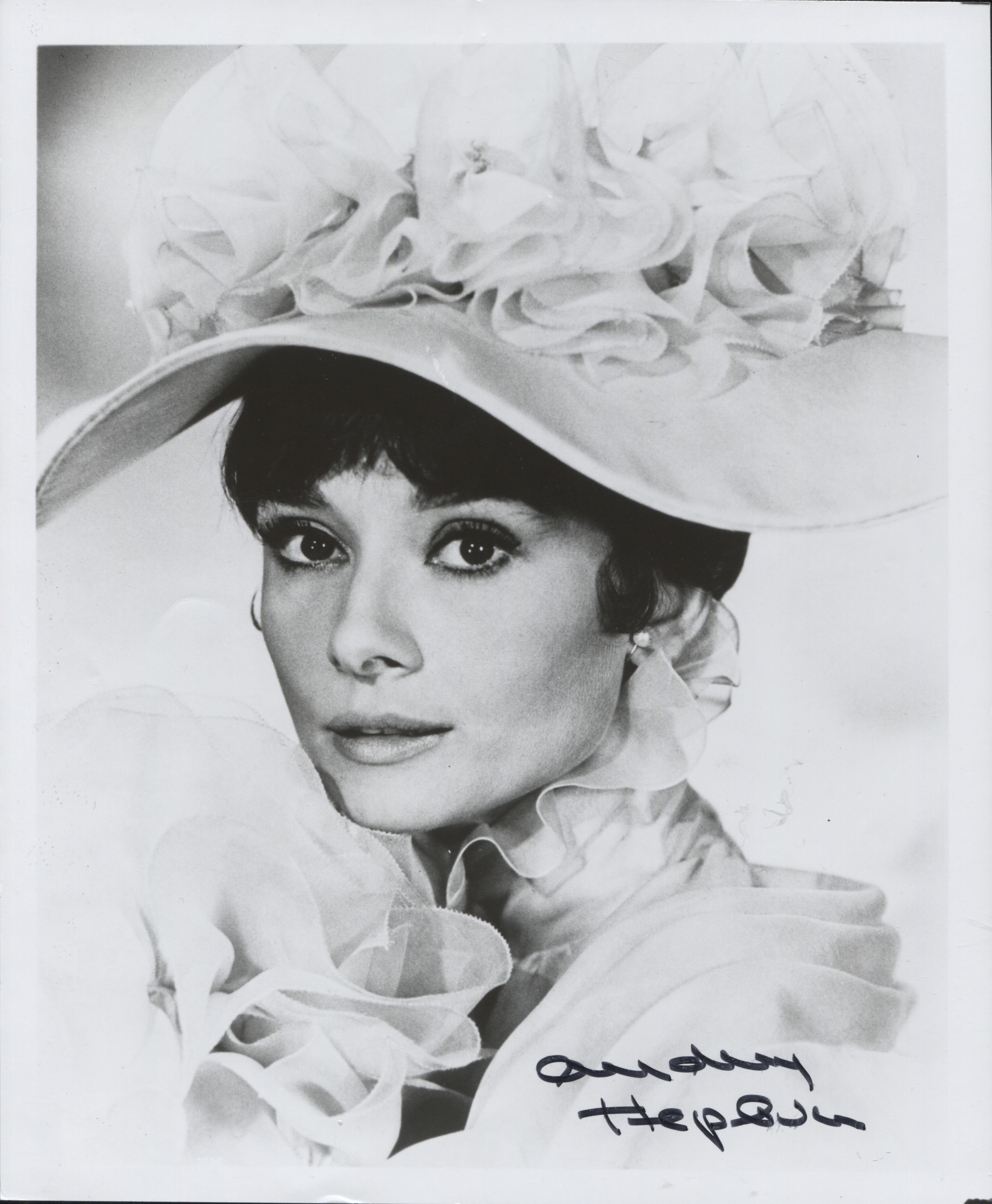 Lot Detail - Audrey Hepburn Beautiful 8