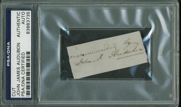 John James Audubon Signed 1" x 2" Album Page (PSA/DNA)