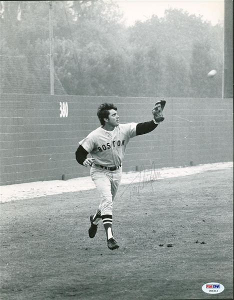 Tony Conigliaro Rare Signed 11" x 14" Black & White Red Sox Photograph (PSA/DNA)