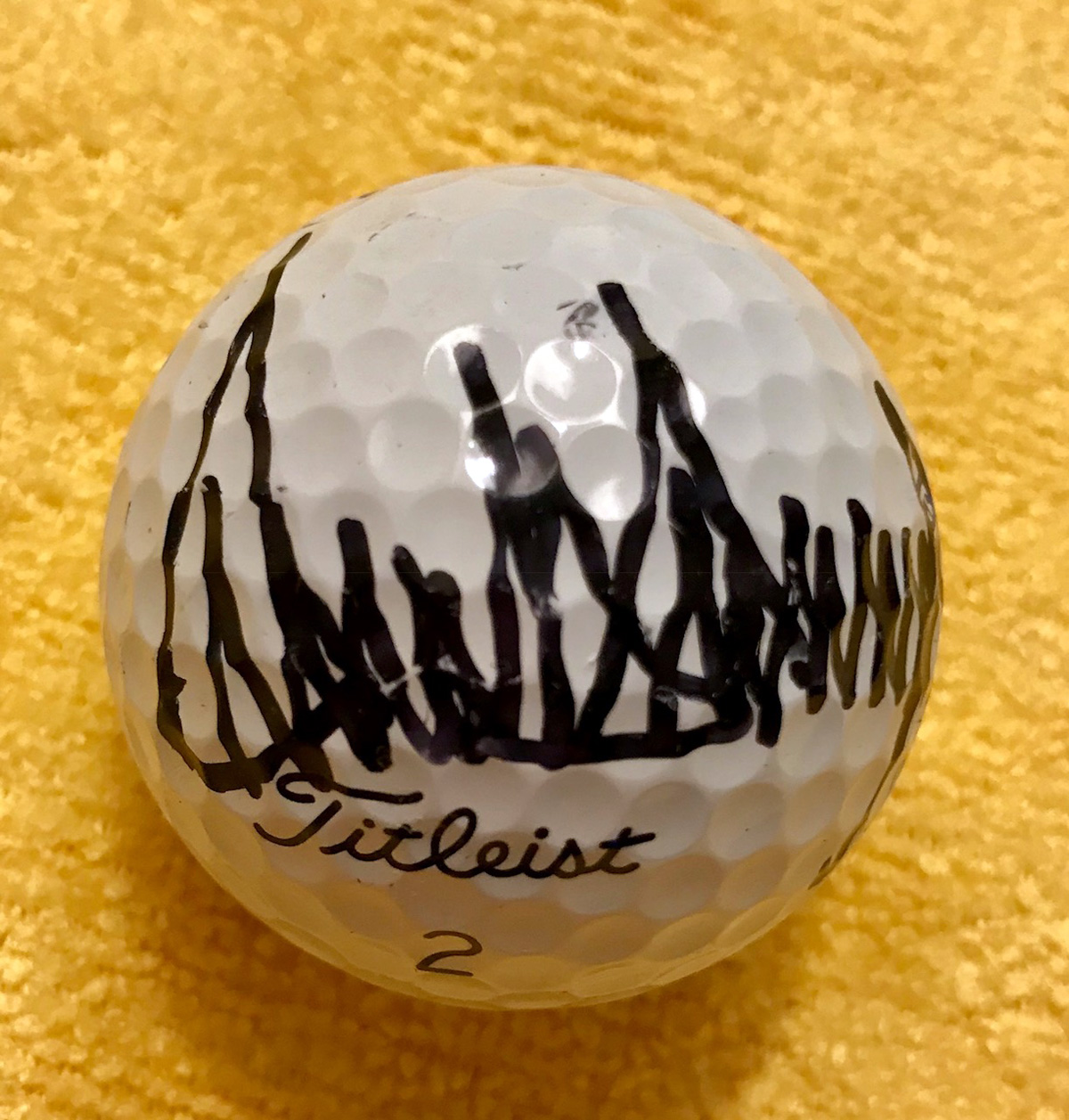 Lot Detail - President Donald Trump Signed Golf Ball with Choice ...
