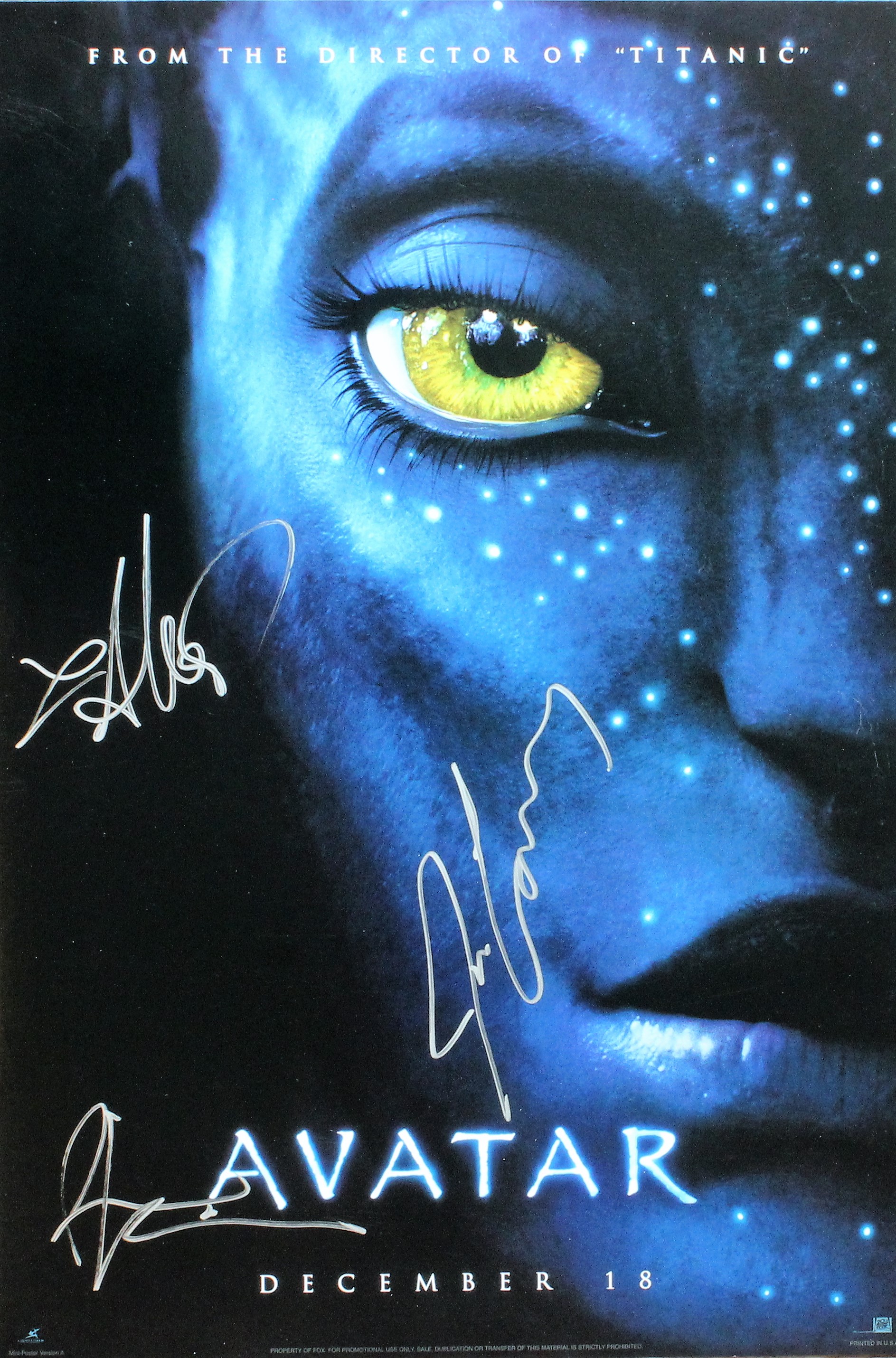 Lot Detail - Avatar 12" x 18" Mini Poster Signed by James ...