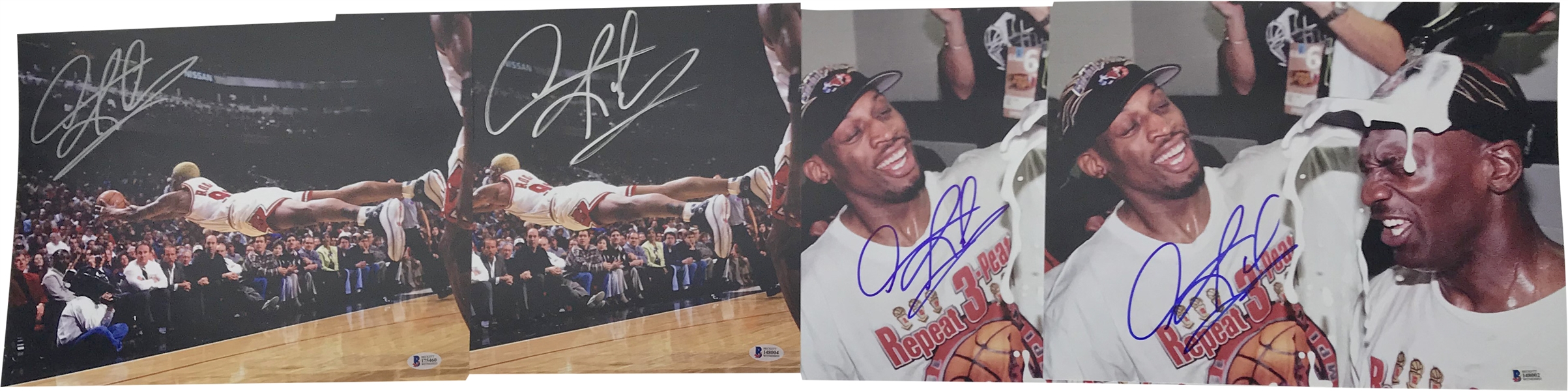 Dennis Rodman Lot of Seven (7) Signed 11" x 14" Photographs (Beckett/BAS)