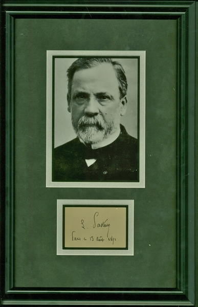 Louis Pasteur Rare Signed 3.5" x 2.5" Framed Album Page Display (Beckett/BAS Guaranteed)
