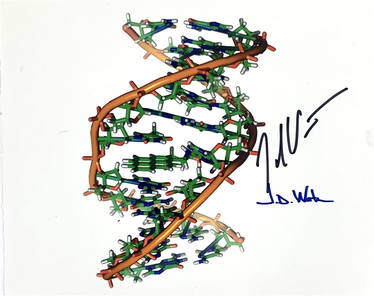 DNA Pioneers: James Watson & Craig Venter Rare Dual Signed 8" x 10" Color Photo (Beckett/BAS)