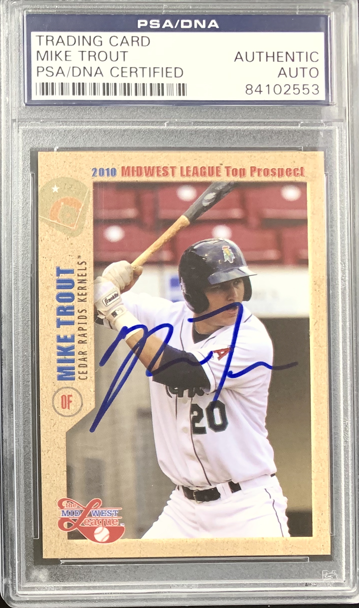 Advice 2010 DAV Minor League Sets Including Mike Trout - Blowout Cards  Forums