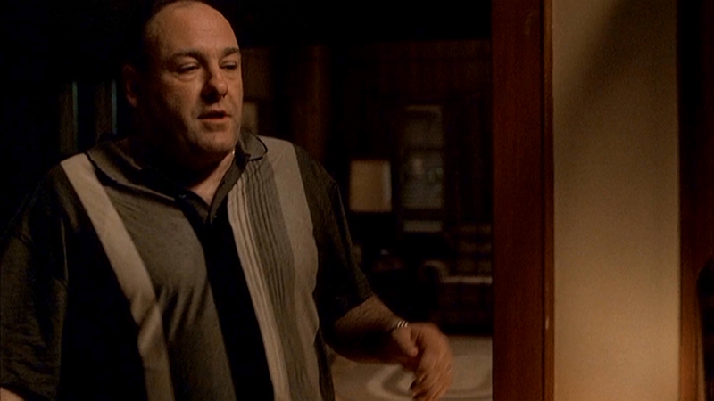 Lot Detail - The Sopranos: James Gandolfini Season 6 Tony Soprano Worn ...