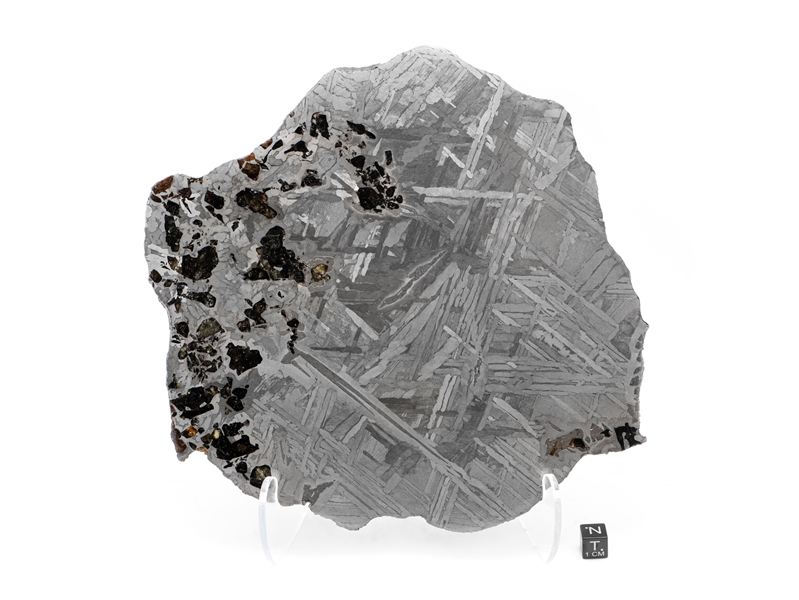 Seymchan Meteorite Transitional Slice (Aerolite Meteorites COA) (Geoff Notkin of TV’s “Meteorite Men”) 