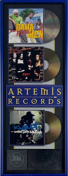 2000 RIAA Award to Jenn Brody for Artemis Record Sales inc. Who Let the Dogs Out