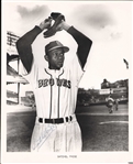 Satchel Paige Signed 8 x 10 Photo (Third Party Guaranteed)