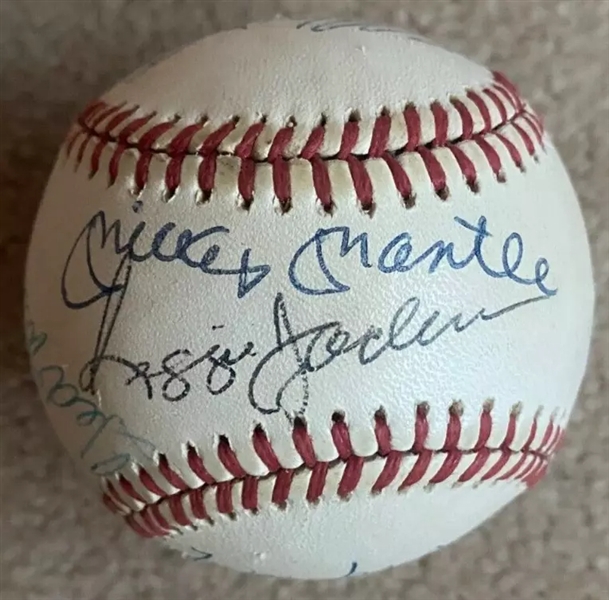 500 Home Run Club Multi-Signed OAL Baseball w/ Mantle/Williams & Others! (Third Party Guaranteed)