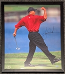 Tiger Woods Signed & Framed 16 x 20 Color Photo Featuring Famed Fist Pump Image (UDA COA)