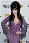 Elvira Personally Owned & Worn Purple & Silver Spider Web Dress from Knott's Scary Farm Show Danse Macbre (Ex. Elvira Collection) 