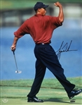 Tiger Woods Near-Mint Signed 16 x 20 Fist Pump Red Sunday Photograph (Upper Deck/UDA & Beckett/BAS)