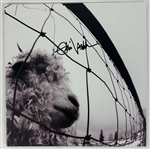 Pearl Jam: Eddie Vedder Signed "Vs" Record Album (Beckett/BAS LOA)